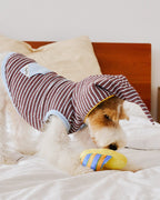 Wizard Hood Striped Pet Loungewear Vest - Dapper Weenie Co