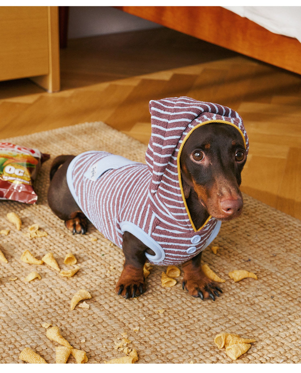 Wizard Hood Striped Pet Loungewear Vest - Dapper Weenie Co