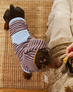 Wizard Hood Striped Pet Loungewear Vest - Dapper Weenie Co